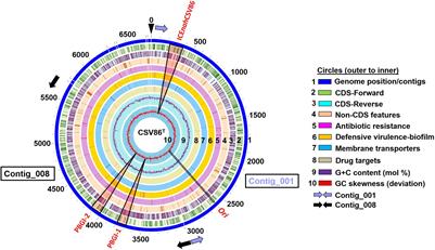 Life Within a Contaminated Niche: Comparative Genomic Analyses of an Integrative Conjugative Element ICEnahCSV86 and Two Genomic Islands From Pseudomonas bharatica CSV86T Suggest Probable Role in Colonization and Adaptation